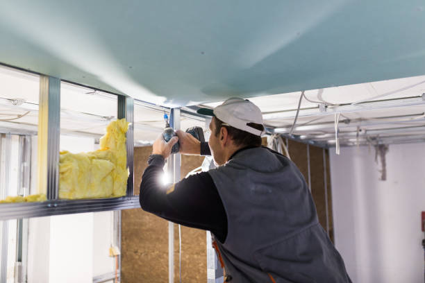 Best Insulation Maintenance and Repair in Kenmore, NY